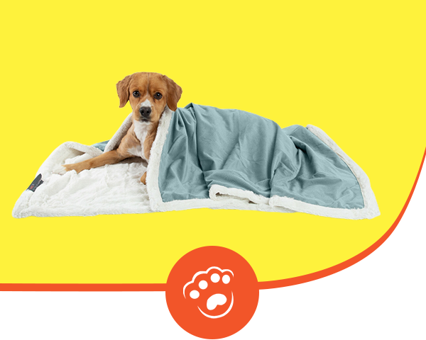 Pet Throw Blanket