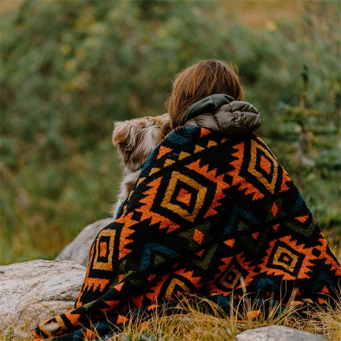 Reversible Waterproof Printed Sherpa Pet Blanket