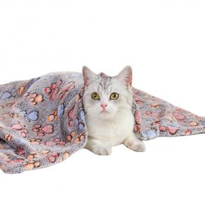 Single Layer 3D Pattern Pet Blanket