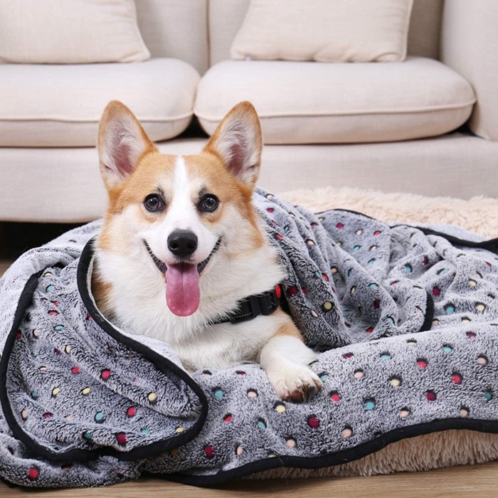 Embroidery Dot Flannel Pet Throw Blanket