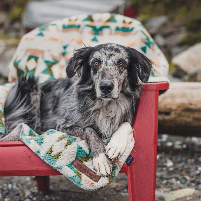 Waterproof Sherpa Fleece Pet Blanket