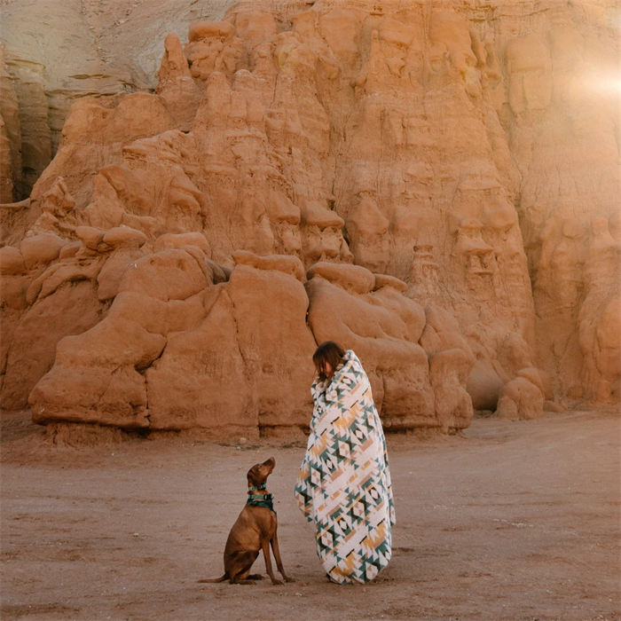 sherpa fleece dog blanket