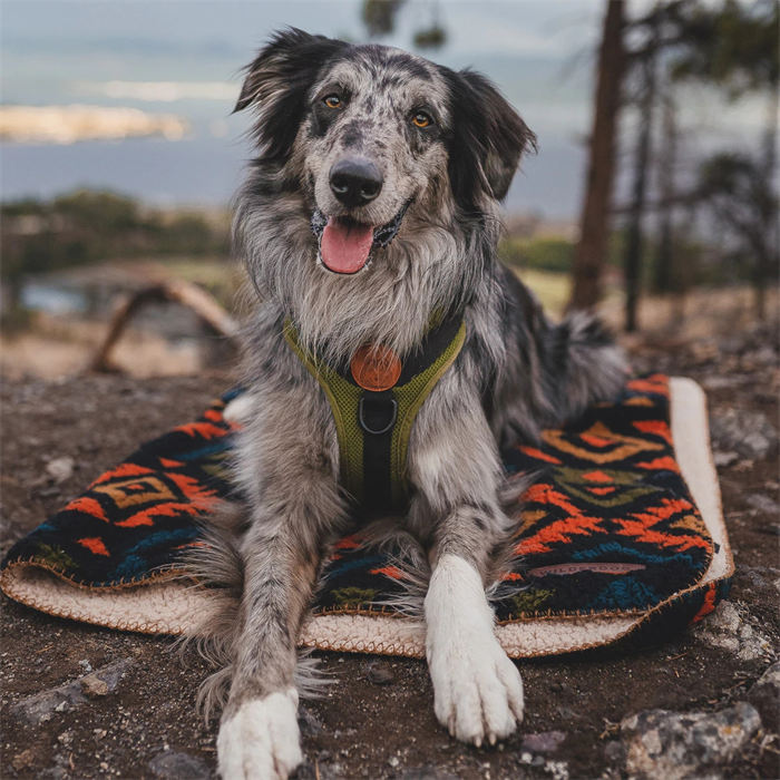 Reversible Sherpa Pet Blanket